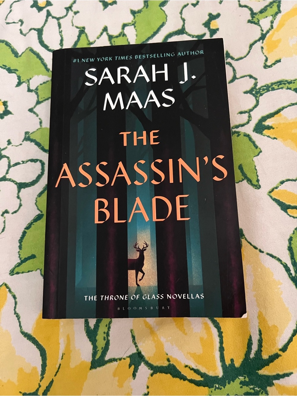 The Assassin's Blade - Black and Teal Cover